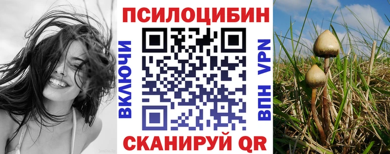 Купить закладки  Ростов  Галлюциногенные грибы MAGIC MUSHROOMS 